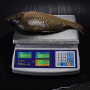 Весы торговые M-ER 329 AС-15.2 LСD Fisher влагозащищенные