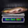 Весы торговые M-ER 329 AС-15.2 LСD Fisher влагозащищенные